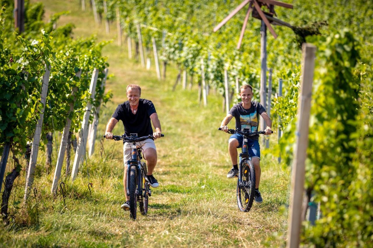 Weingut-Gaestehaus Birnstingl กัมลิทซ์ ภายนอก รูปภาพ