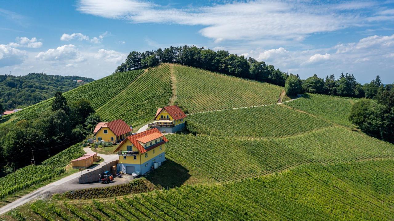 Weingut-Gaestehaus Birnstingl กัมลิทซ์ ภายนอก รูปภาพ