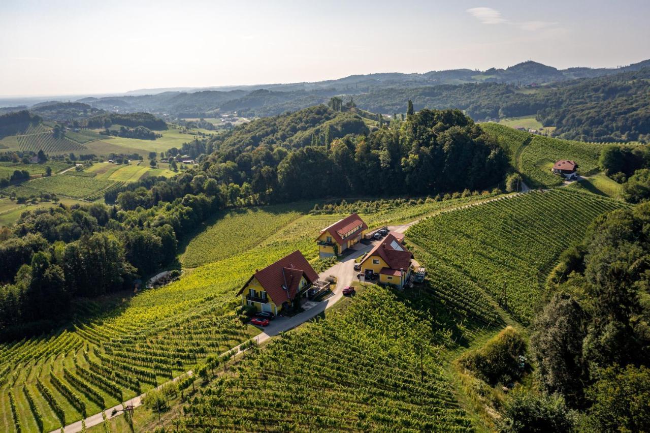 Weingut-Gaestehaus Birnstingl กัมลิทซ์ ภายนอก รูปภาพ