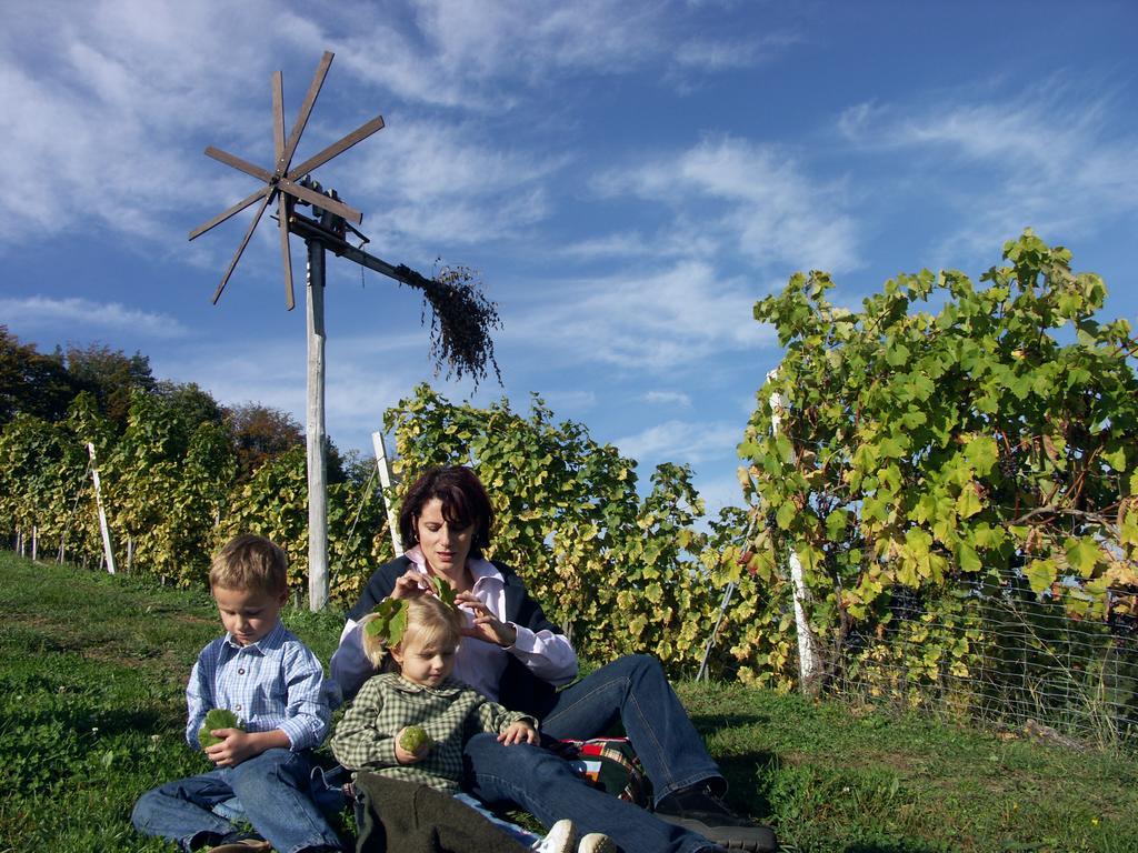 Weingut-Gaestehaus Birnstingl กัมลิทซ์ ภายนอก รูปภาพ